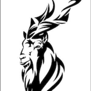 Meet your Posher, Haider